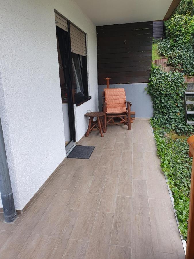 Ferienwohnung Zum Rheinblick Kestert エクステリア 写真