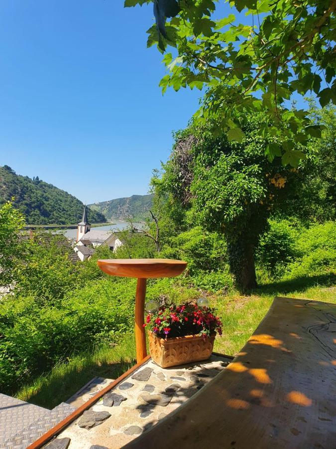 Ferienwohnung Zum Rheinblick Kestert エクステリア 写真