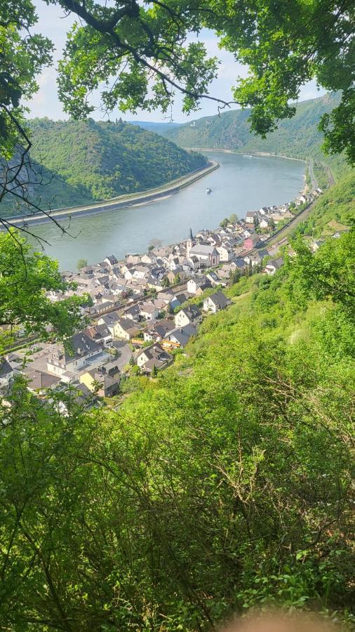 Ferienwohnung Zum Rheinblick Kestert エクステリア 写真
