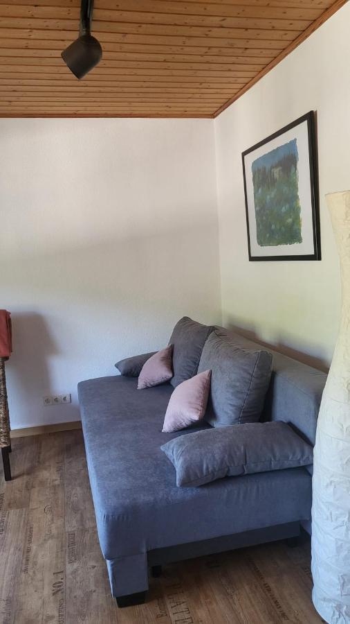 Ferienwohnung Zum Rheinblick Kestert エクステリア 写真