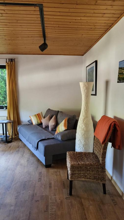 Ferienwohnung Zum Rheinblick Kestert エクステリア 写真