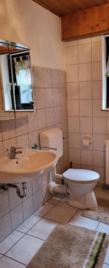 Ferienwohnung Zum Rheinblick Kestert エクステリア 写真