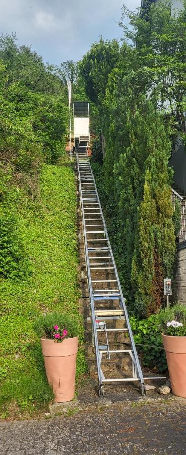 Ferienwohnung Zum Rheinblick Kestert エクステリア 写真
